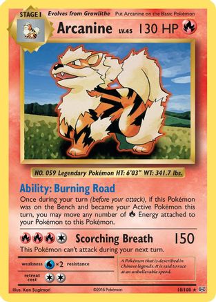 Arcanine 18/108 - Evolutions Reverse Holofoil