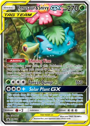 Venusaur & Snivy-GX SM229/248 - SM Black Star Promos Holofoil