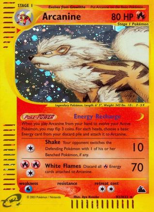 Arcanine H2/144 - Skyridge Holofoil