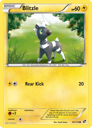 Blitzle 40/114 - Black & White Reverse Holofoil