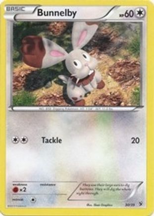 Bunnelby 30/39 - Kalos Starter Set