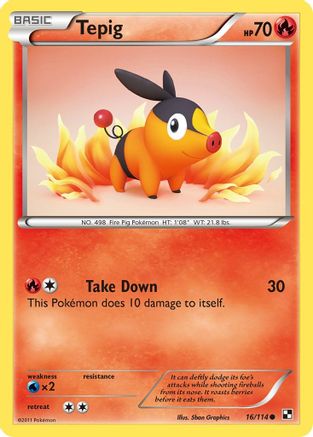 Tepig 16/114 - Black & White Reverse Holofoil