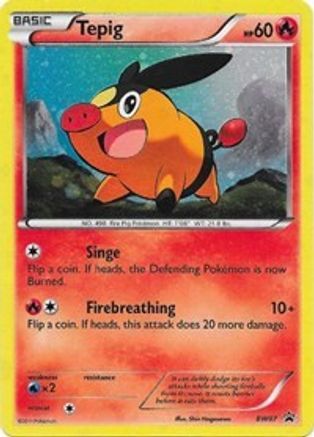 Tepig BW07/101 - BW Black Star Promos Holofoil