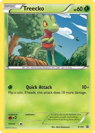 Treecko XY36/211 - XY Black Star Promos Holofoil