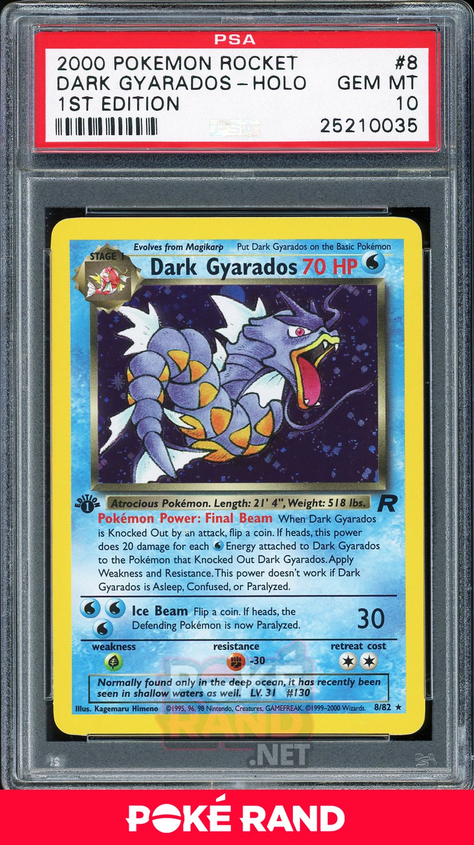 Dark Gyarados 1st Edition - PSA 10 - Team Rocket - PokeRand