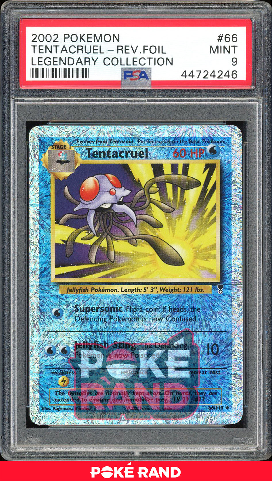 Tentacruel - Rev. Foil - Legendary Collection (PSA 9) - 66/110 - PokeRand