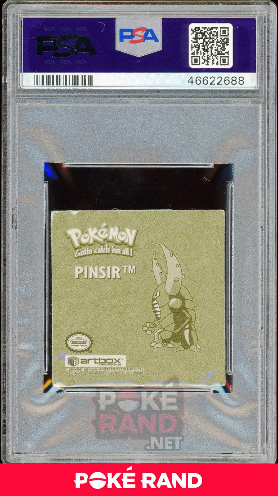 Pinsir R03 PSA 6 - Sticker - PokeRand