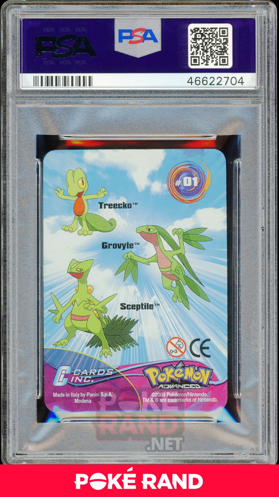 Treecko/Grvl/Scep PSA 9 - Advanced Action - PokeRand