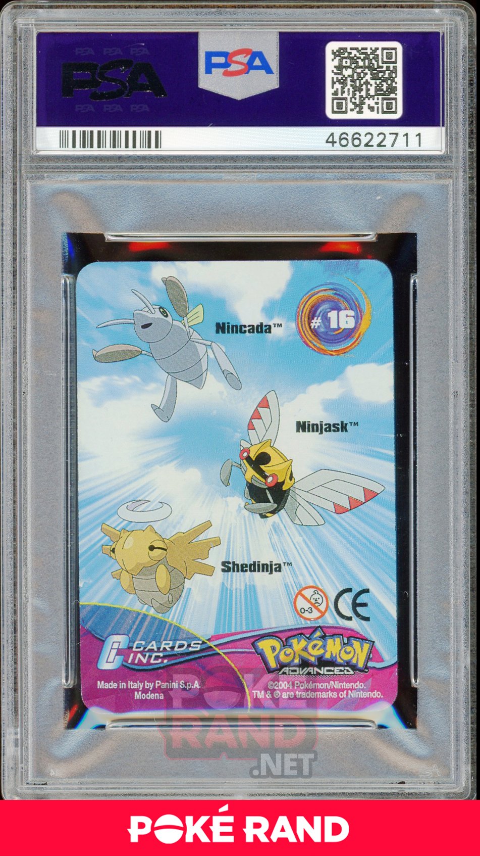 NNCDA/NNJSK/SHDNJA. PSA 9 - Advanced Action - PokeRand