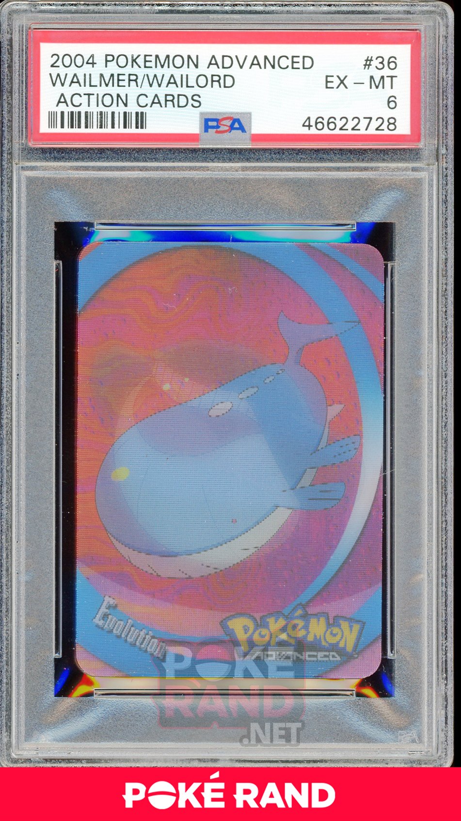 WAILMER/WAILORD PSA 6 - Advanced Action - PokeRand