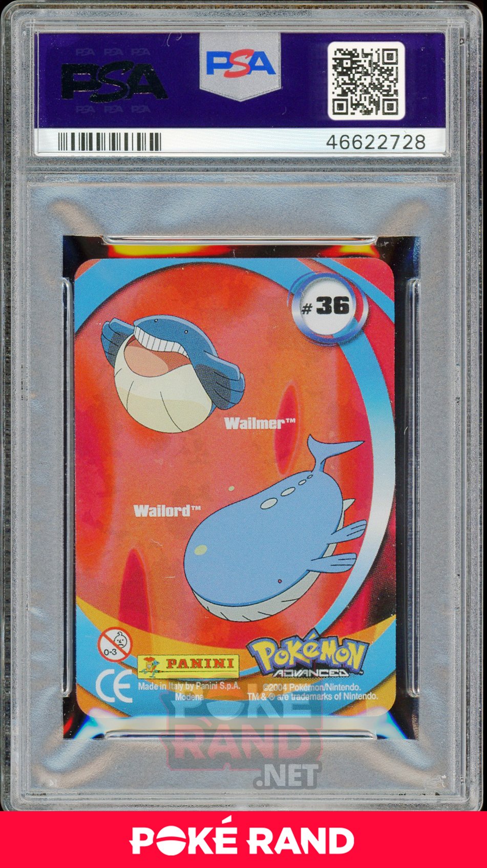 WAILMER/WAILORD PSA 6 - Advanced Action - PokeRand