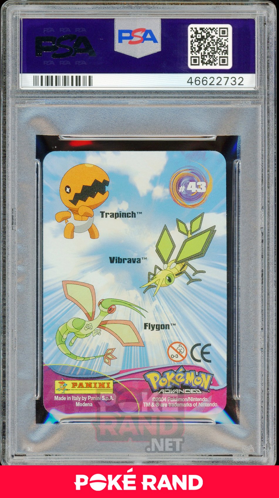 TRPNCH/VBRV/FLYGON PSA 6 - Advanced Action - PokeRand