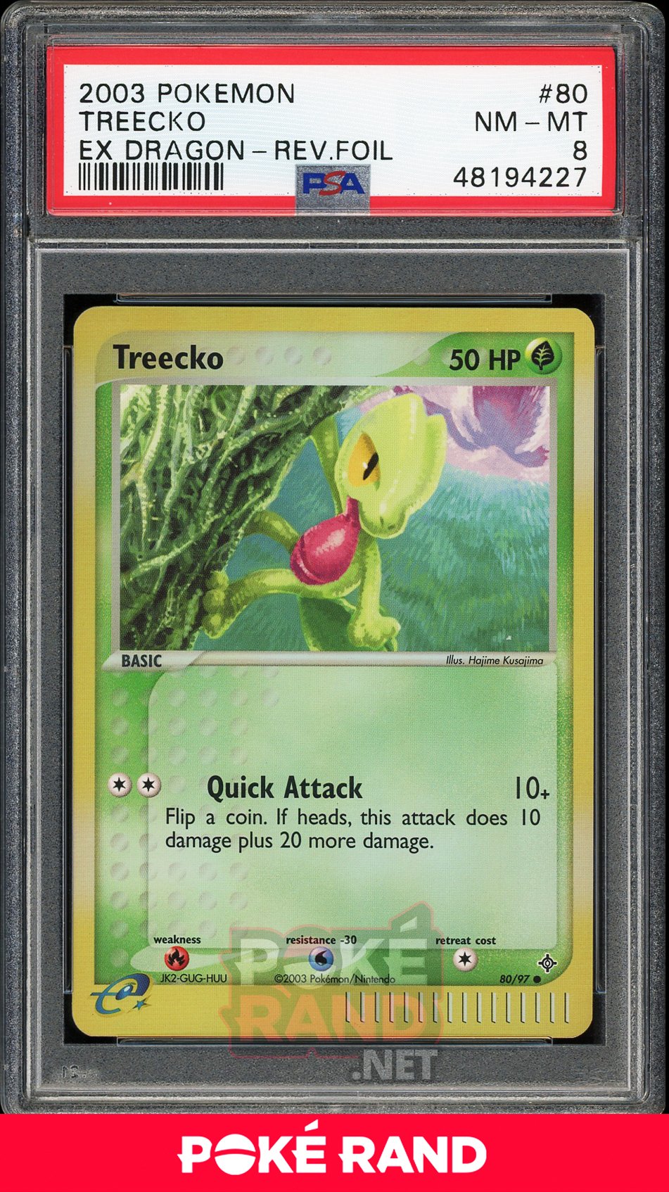 Treecko Reverse Foil (PSA 8) - EX Dragon #80