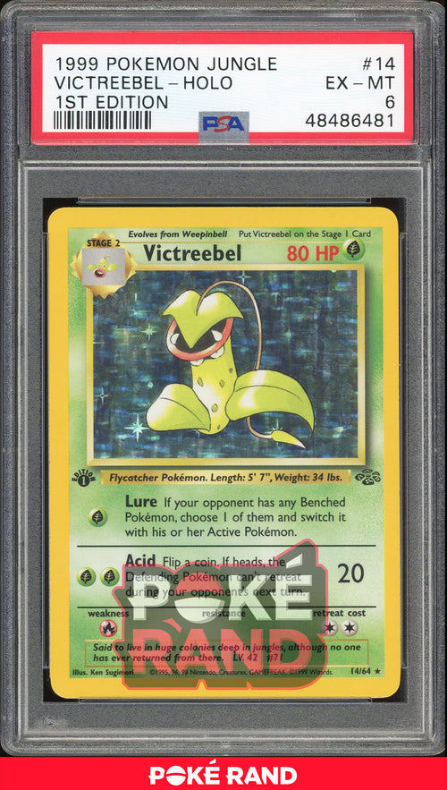 Victreebel - Holo - 1st Edition Jungle (PSA 6) - 14/64 - PokeRand