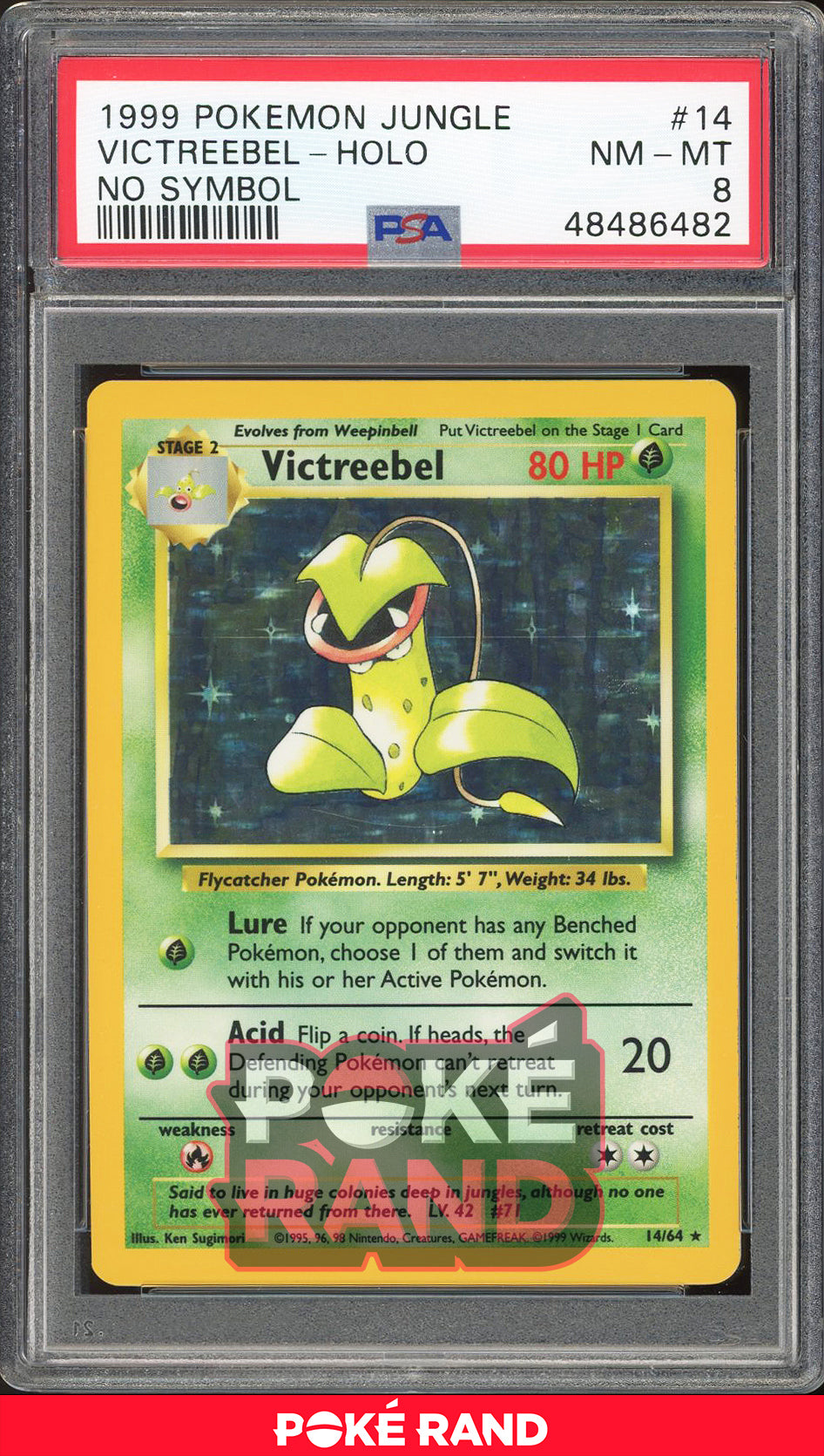 Victreebel - Holo - No Symbol Jungle (PSA 8) - 14/64 - PokeRand