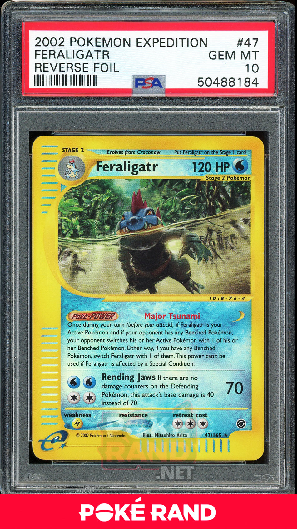 Feraligatr - Reverse Holo (PSA 10) - Expedition - PokeRand