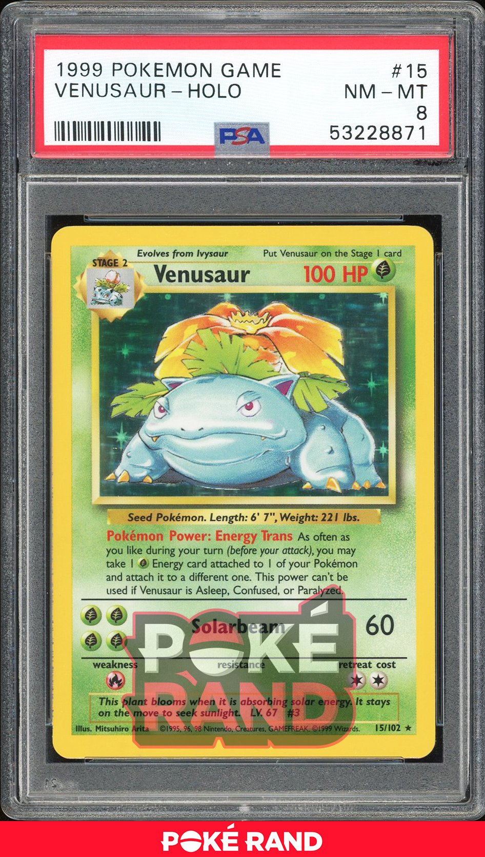 Venusaur  - PSA 8 - Base - #15 - Holo