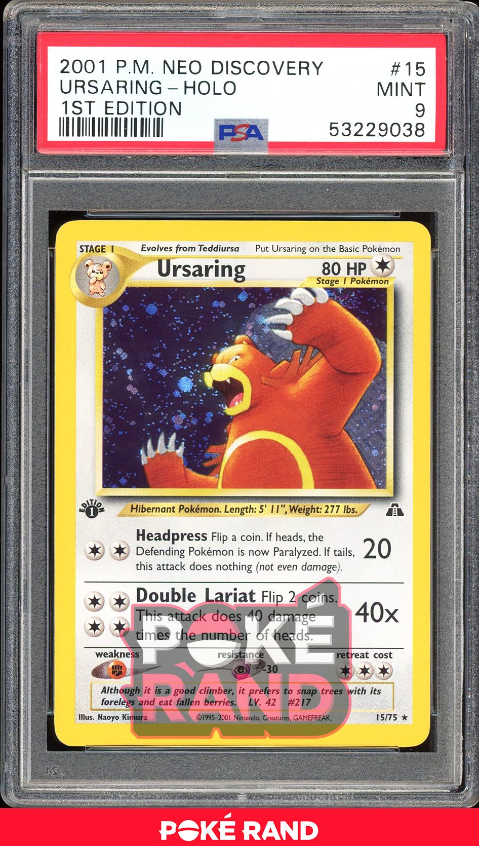 Ursaring 1St Edition - PSA 9 - Neo Discovery - #15 - Holo