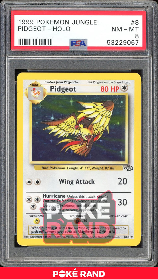 Pidgeot  - PSA 8 - Jungle - #8 - Holo
