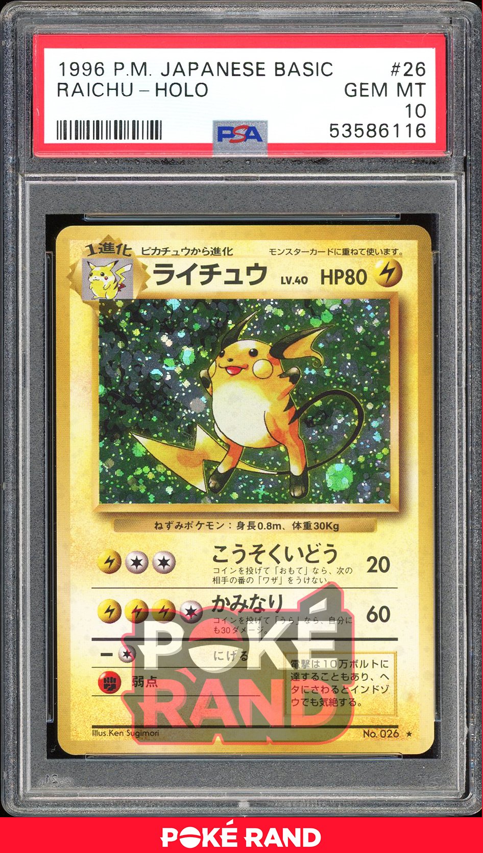 Raichu  - PSA 10 - Japanese Base - #26 - Holo