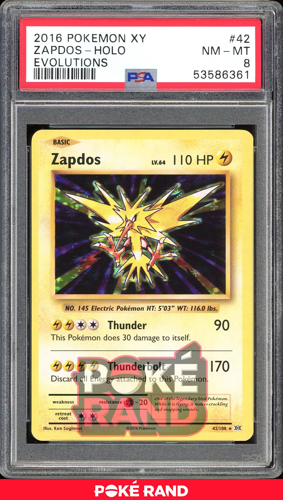 Zapdos  - PSA 8 - Evolutions - #42 - Holo