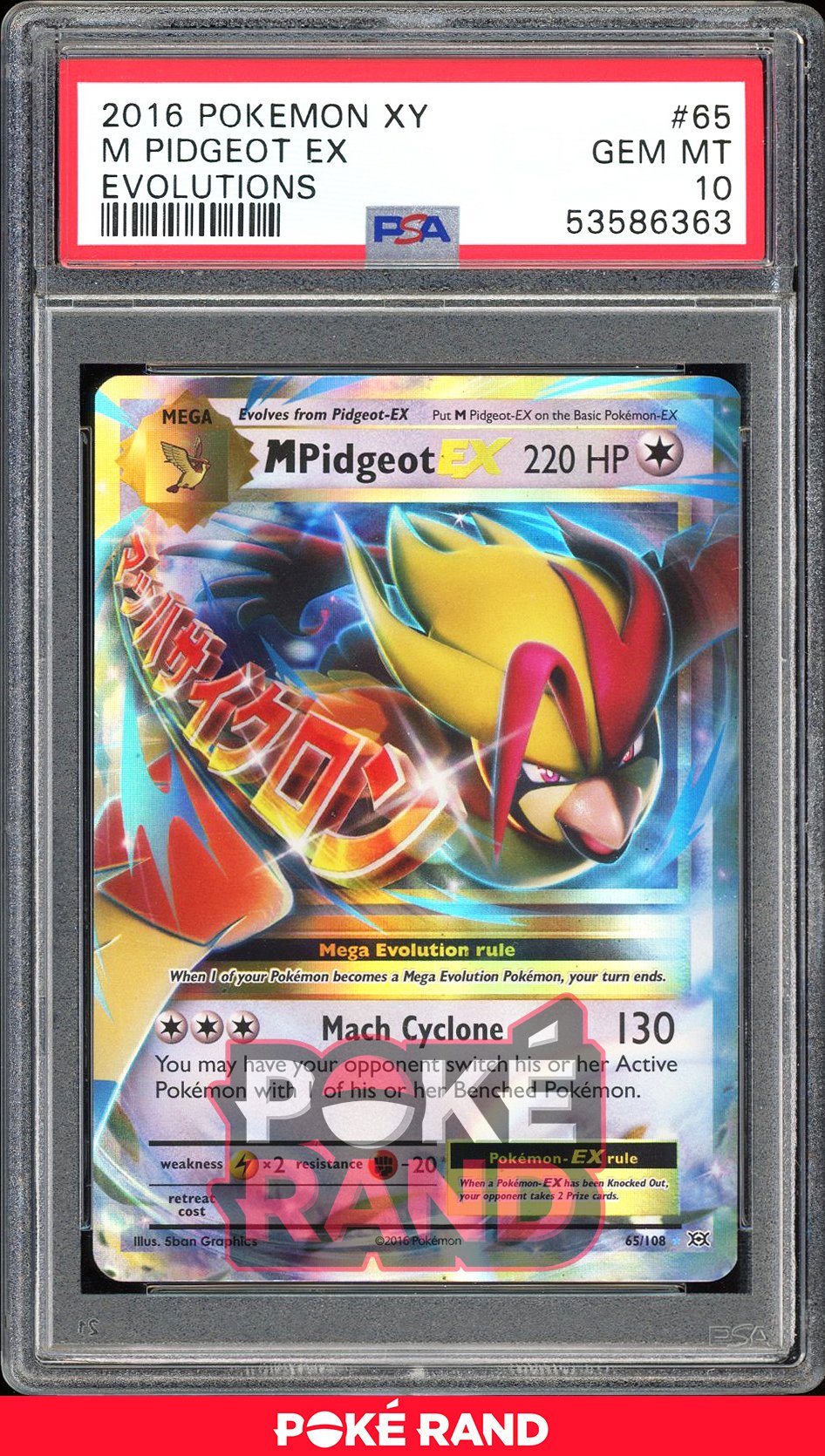 M Pidgeot Ex  - PSA 10 - Evolutions - #65 - Holo