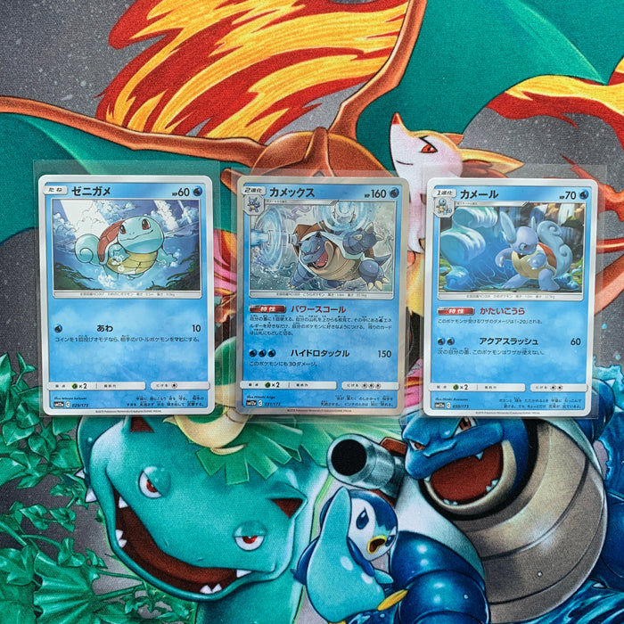 Set of 3 - Squirtle, Warturtle and Holo Blastoise - Tag All Stars - PokeRand
