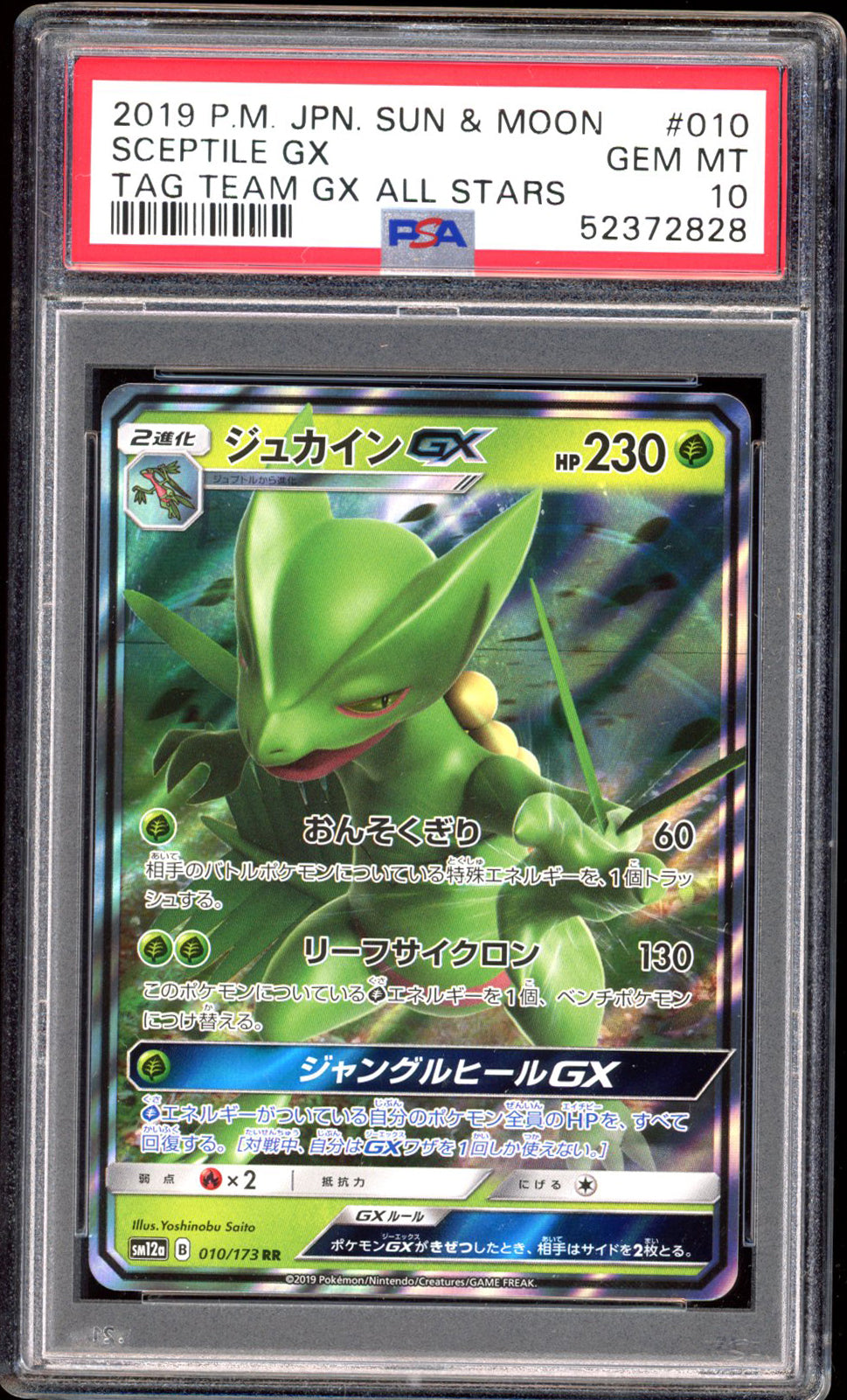 Sceptile GX - Holo (PSA 10) - Tag All Stars 010/173 - PokeRand