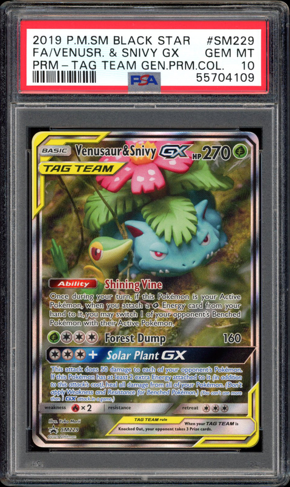 Venusaur & Snivy GX - Full Art - SM229 - PSA 10 - Promo - PokeRand